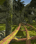 Jungle Adventure